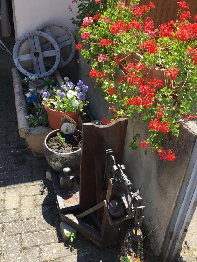 Bienvenue En Alsace Apartment